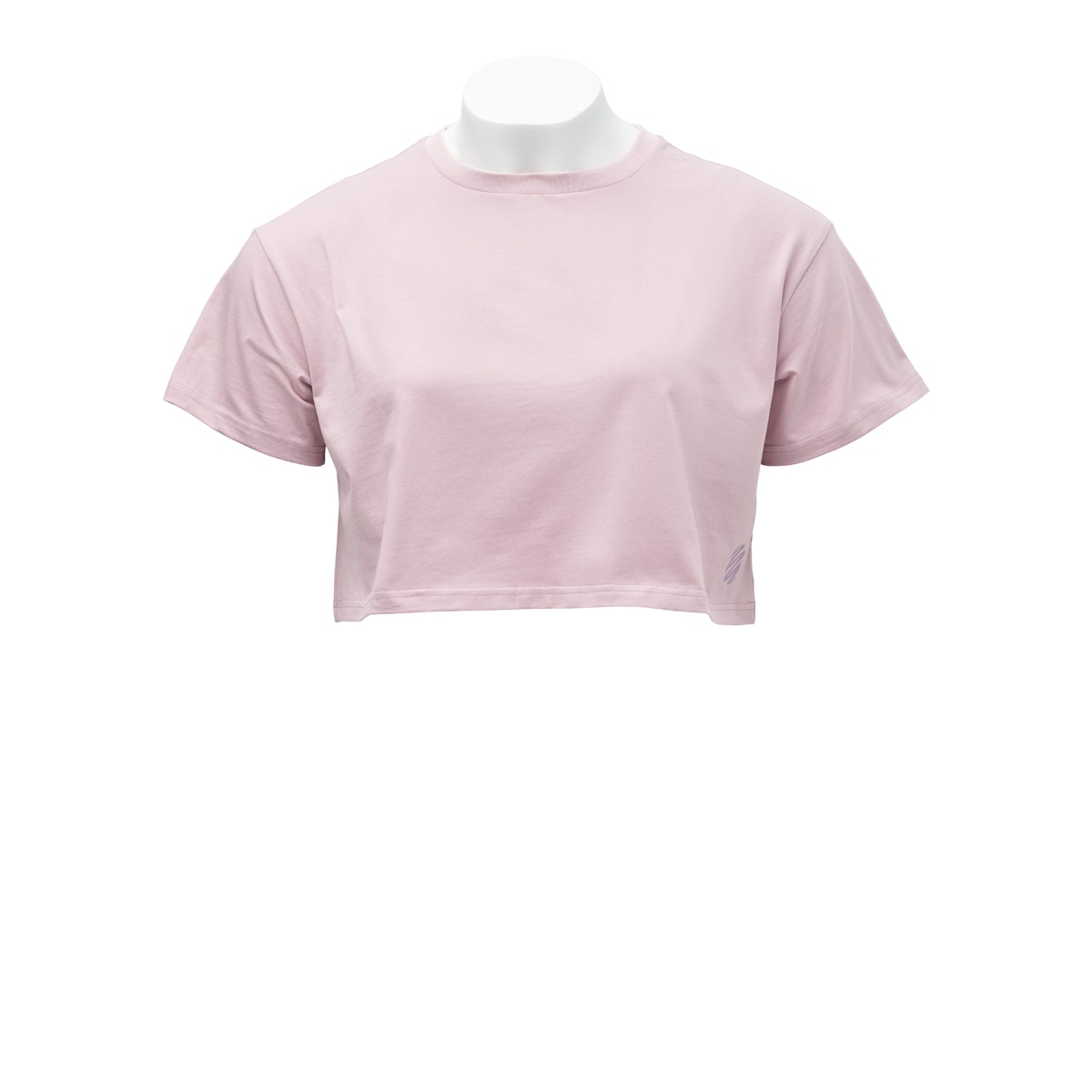 BlenderBottle Cropped T-Shirt 9hbdz